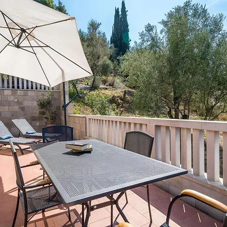 Kate's Perfect Family In Elaphiti Daire